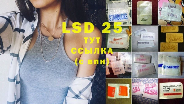 ГАЛЛЮЦИНОГЕННЫЕ ГРИБЫ Алзамай