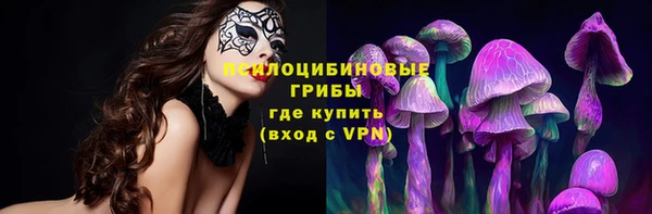 ALPHA-PVP Алексин