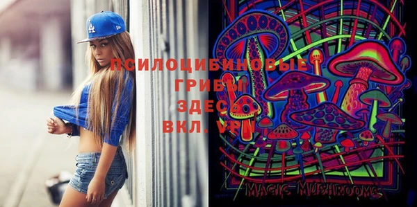 ALPHA-PVP Алексин