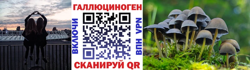 Галлюциногенные грибы GOLDEN TEACHER  дарнет шоп  Печоры 